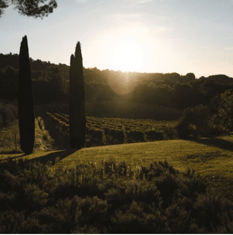 Château La Verrerie - Image 3