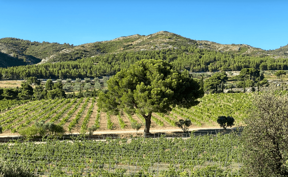 Domaine des Lauzières - Image 1