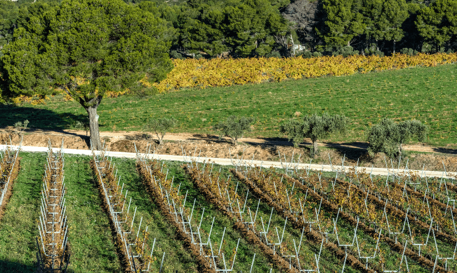 Domaine des Lauzières - Image 3