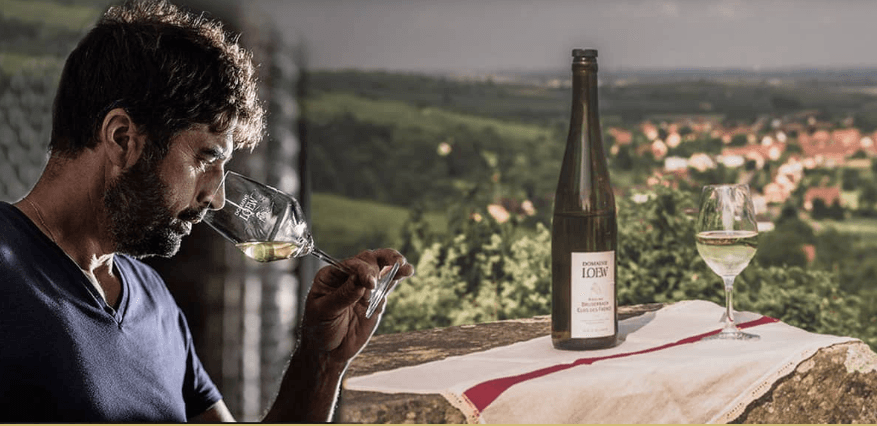 Domaine Loew - Image 2