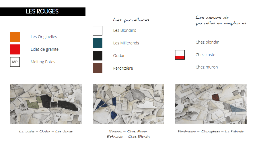 Domaine Sérol - Image 3