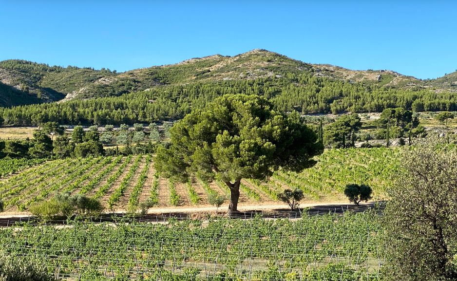 Domaine des Lauzières